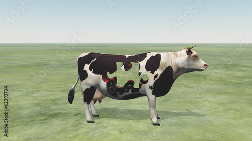 Cow Puzzle