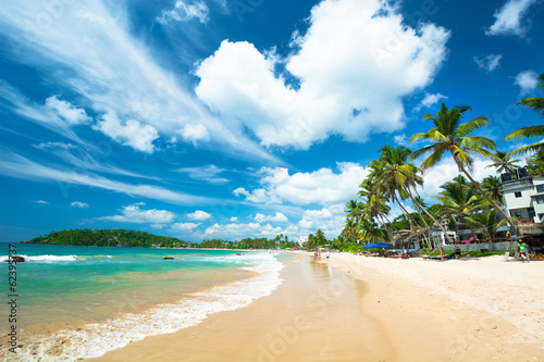 beach landscape in Sri Lanka photo