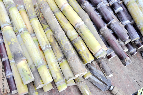 sugarcane