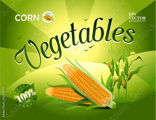 Vector vegetables. Corn