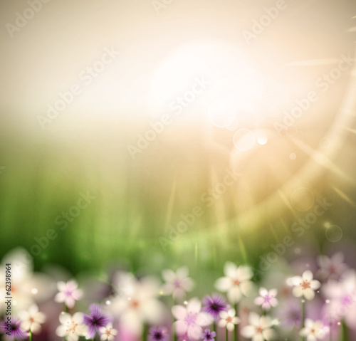 Abstract natural background with flowers © Elymas
