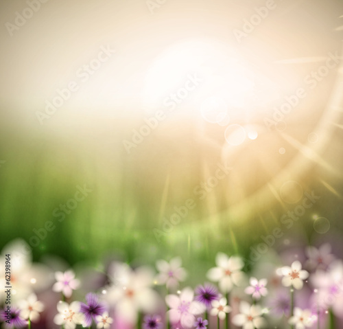 Abstract natural background with flowers
