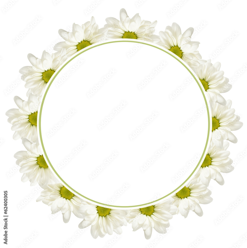 Obraz premium Background with daisy flowers