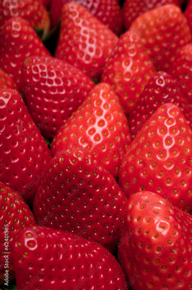 Fraises Fraises