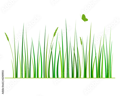 green grass