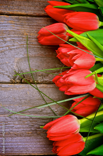 Fototapeta Naklejka Na Ścianę i Meble -  Red Tulips
