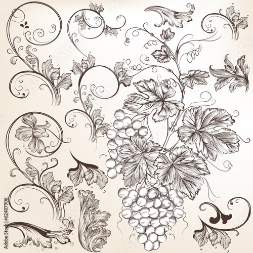 Collection of vector  floral decorative elements for design