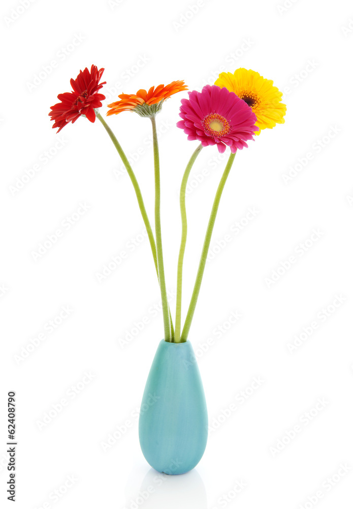 Four Gerber flowers in colorful vase Four Gerber flowers in colorful vase