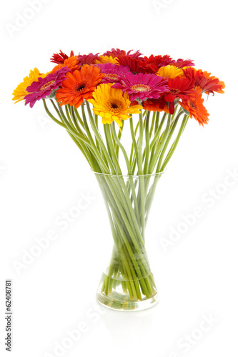 Colorful bouquet of Gerber flowers © Sandra van der Steen