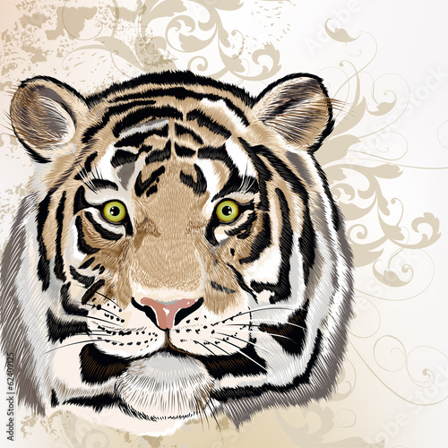 Fototapeta Naklejka Na Ścianę i Meble -  Grunge vector background  with hand drawn watercolor tiger