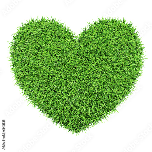 Green heart made of grass isolated on white