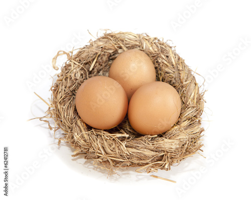 trois oeufs dans un nid