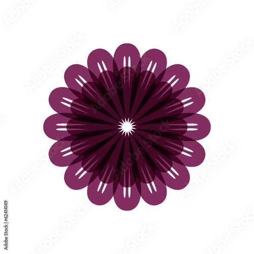 beautiful flower. color with violet petals