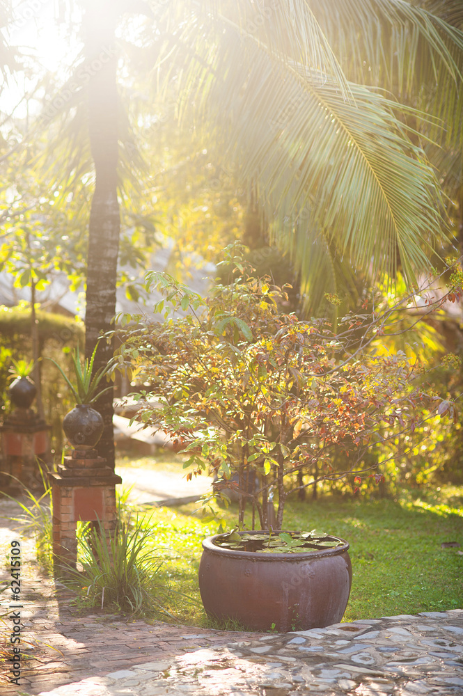 Fototapeta premium Green tropical garden