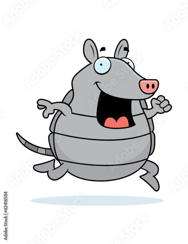 Armadillo Running