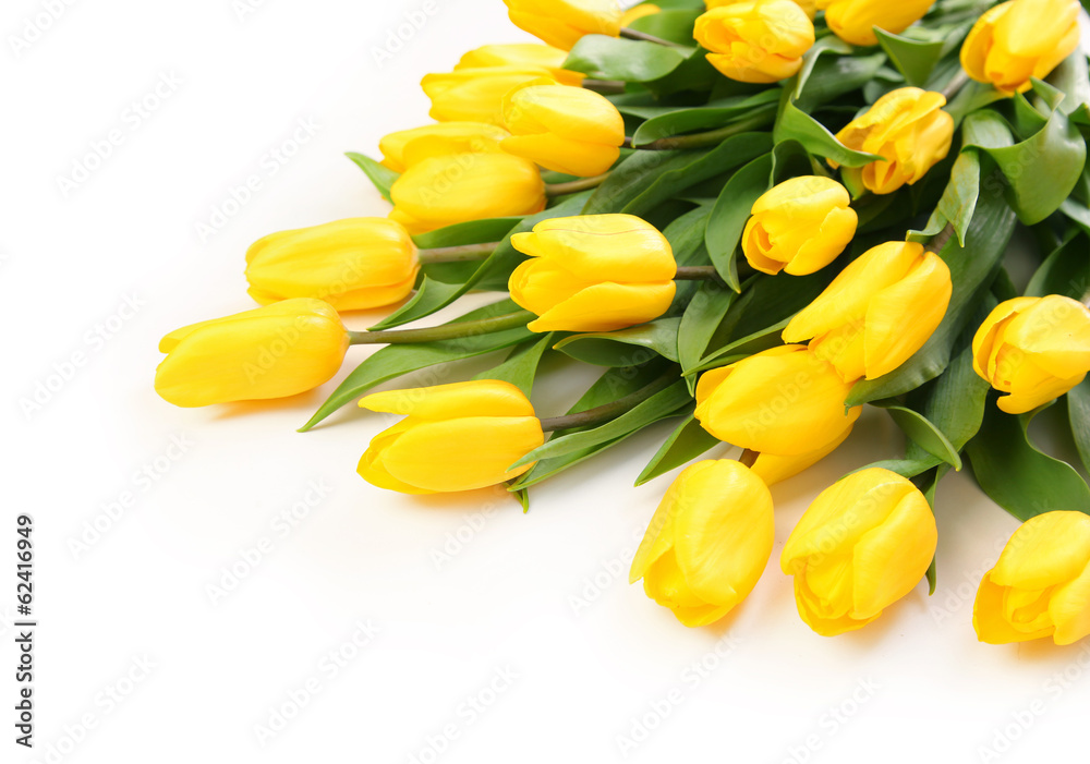 Obraz premium freshness