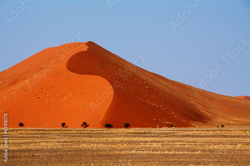 Namib dune