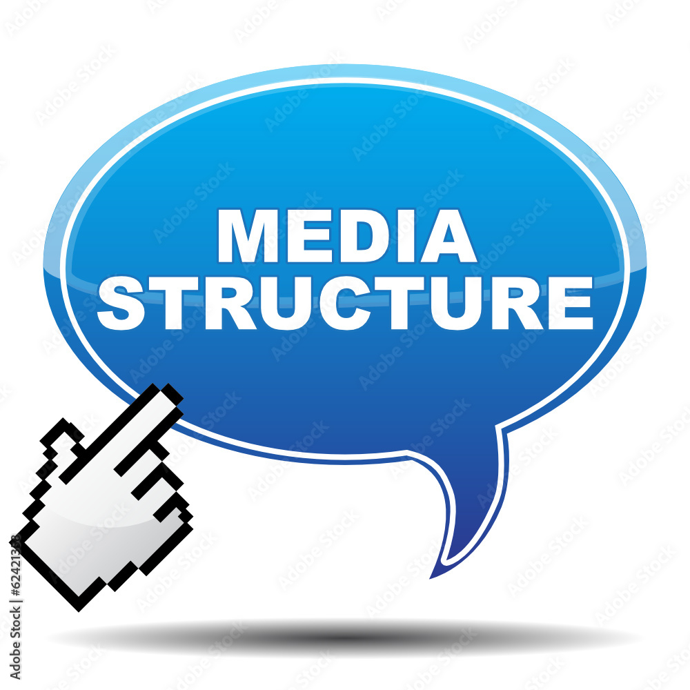 MEDIA STRUCTURE ICON