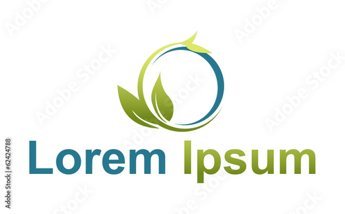 company name