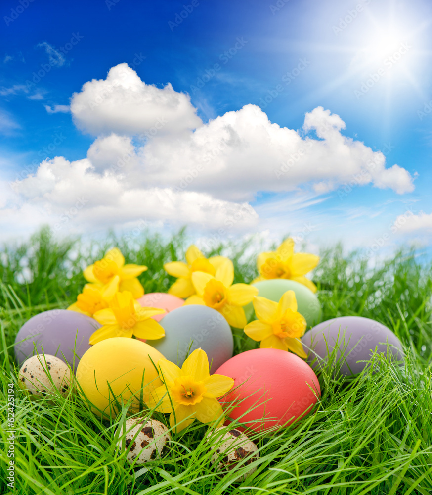 easter eggs and flowers in grass with blue sky easter eggs and flowers in grass with blue sky