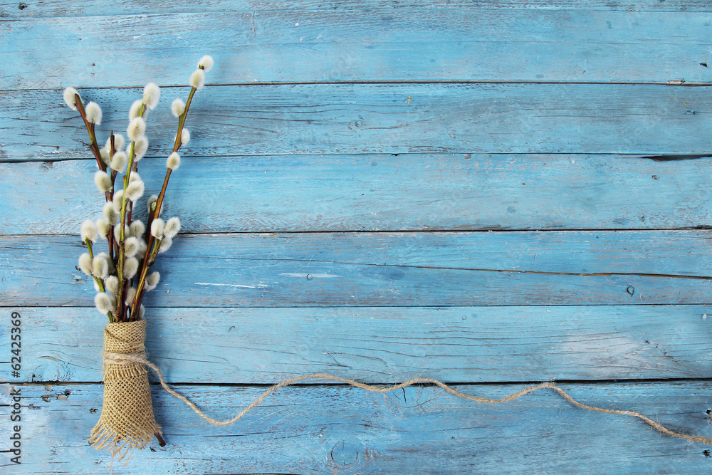 pussy willow twigs on wood background