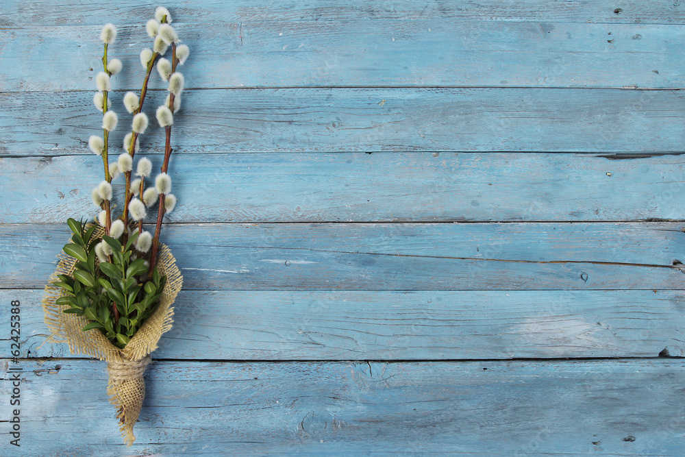 pussy willow twigs on wood background