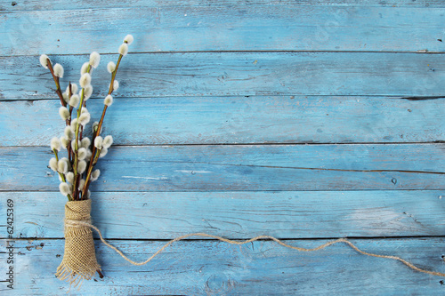 Obraz na płótnie pussy willow twigs on wood background w salonie