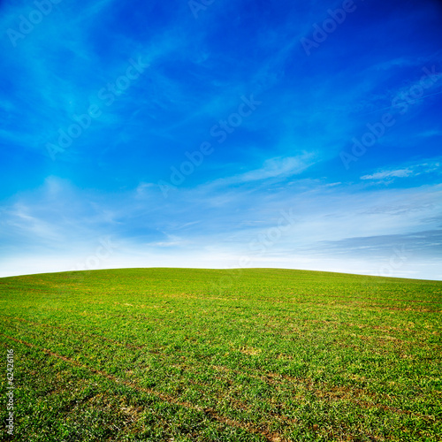 Spring Landscape with Green Field and Blue Sky