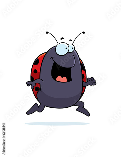Ladybug Running