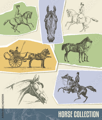 Vintage Horse Vector Set