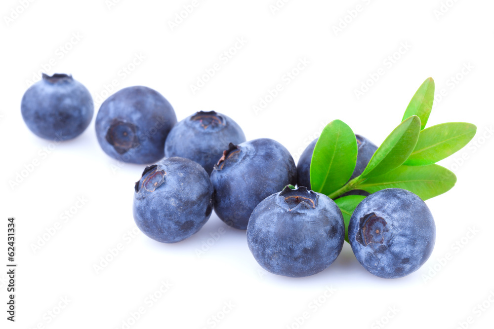 Fototapeta premium Blueberries isolated