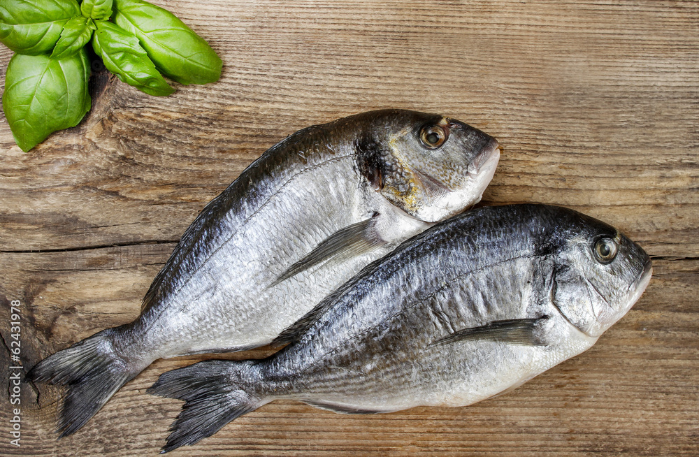 Gilt-head bream fish on wooden background. Mediterranean tavern,