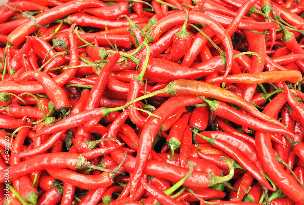   pepper harvest
