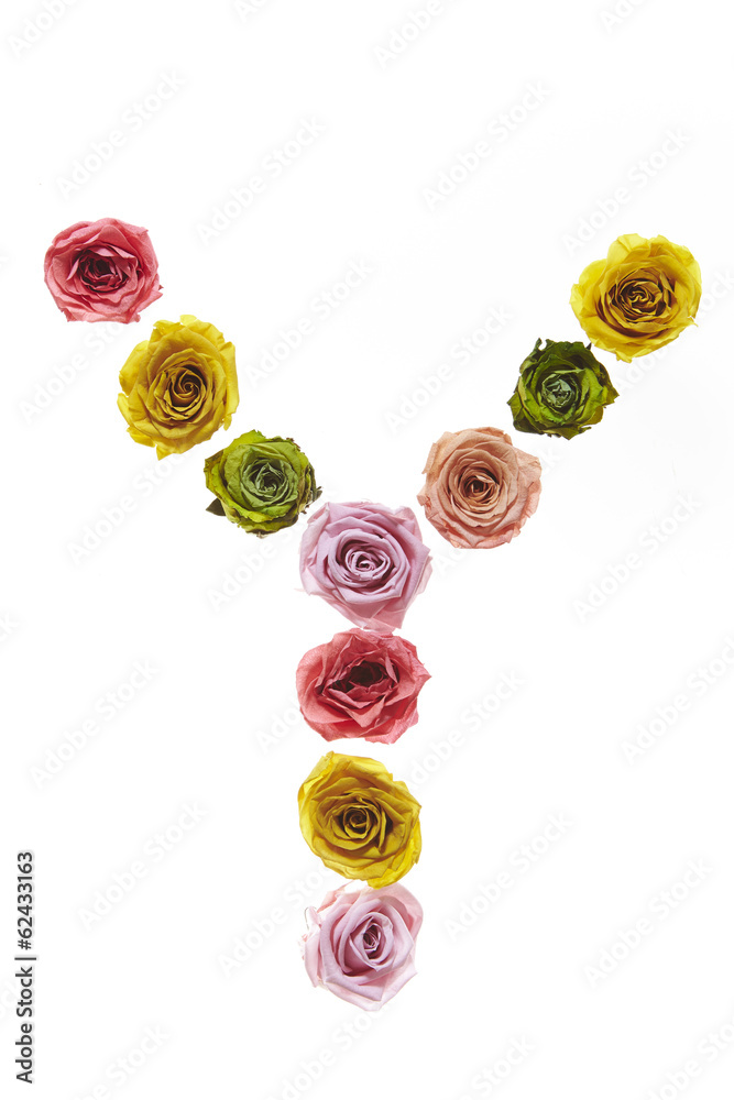 Rose font Y Rose font Y