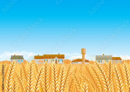 Countryside. Landscape of Grain fields and Farmhouses