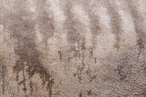 rhino skin texture