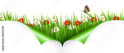 Fototapeta Naklejka Na Ścianę i Meble -  Spring background with flowers, grass and a ladybug. Vector.