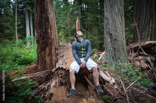 Hiker in Redwoods
