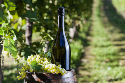 Bottle of Champagne with grapes and old barrel in a vineyard