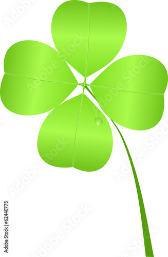 Four-leaf clover for St. Patrick's Day isolated