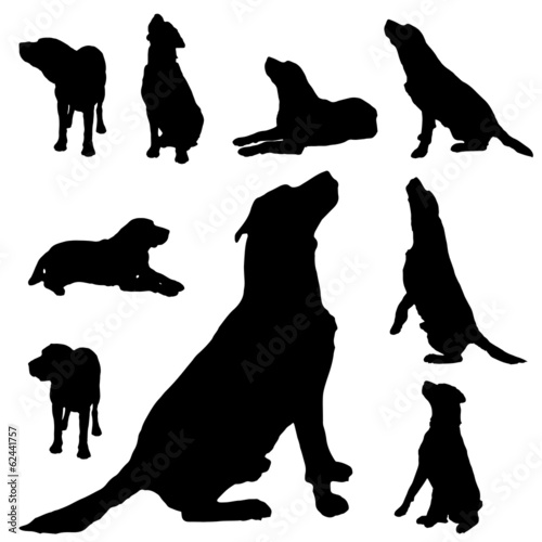 Vector silhouette of a dog.