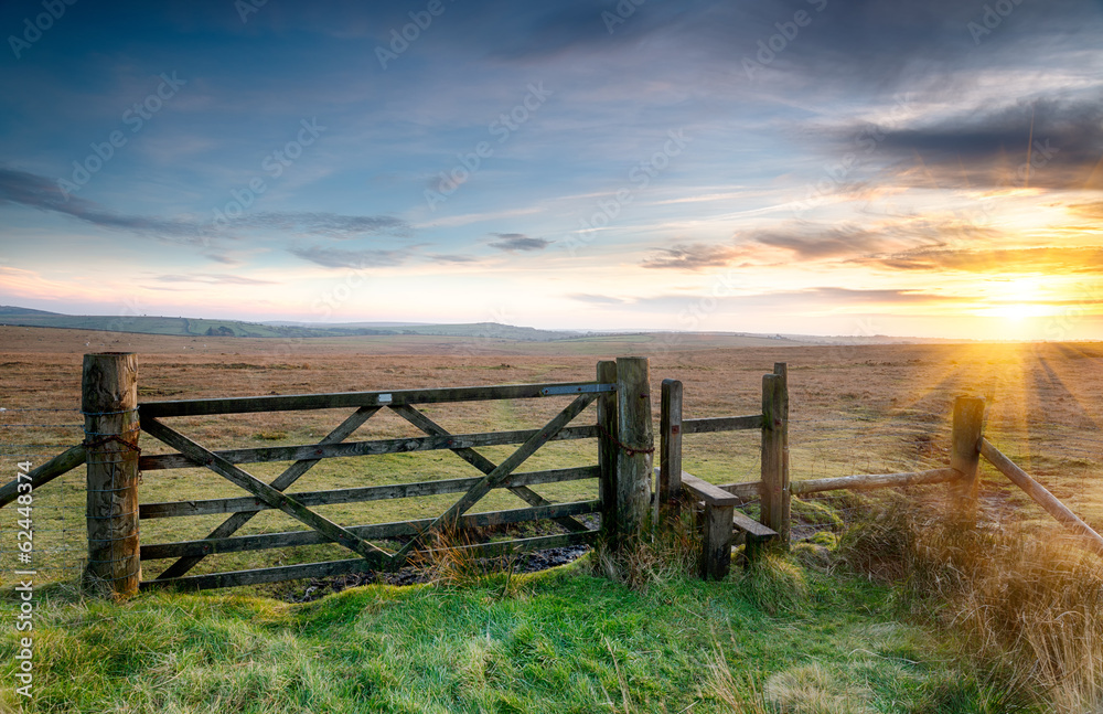 Fototapeta premium Bodmin Moor