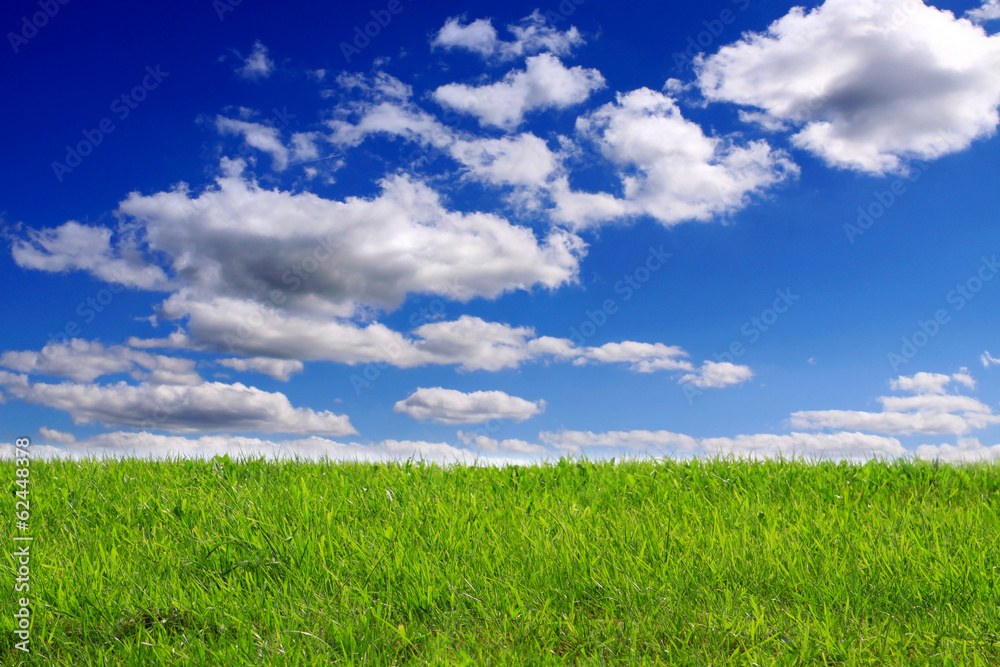 Green field and blue sky background. 