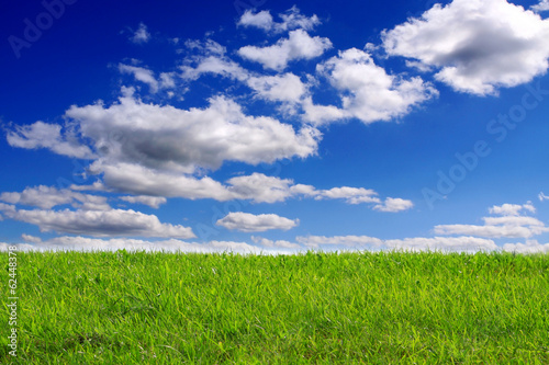 Green field and blue sky background. 