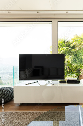 beautiful interiors of a modern house, detail living room