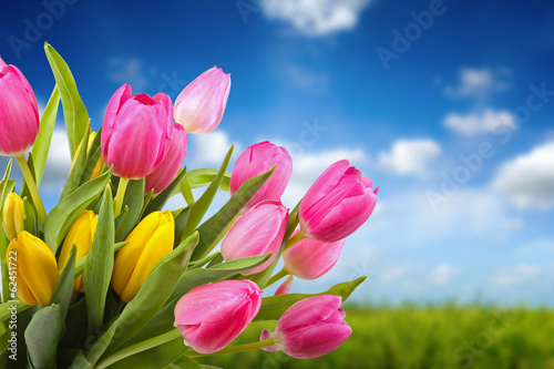 bouquet of colorful tulips against blue sky