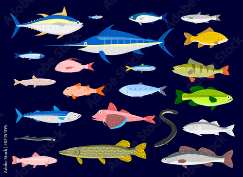 Edible Fishes