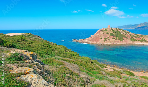 green bushes in Porticciolo