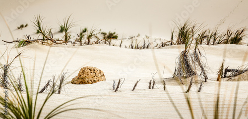 Piece of rock on sand dunes, Te Paki Reserves, Cape Reinga, New