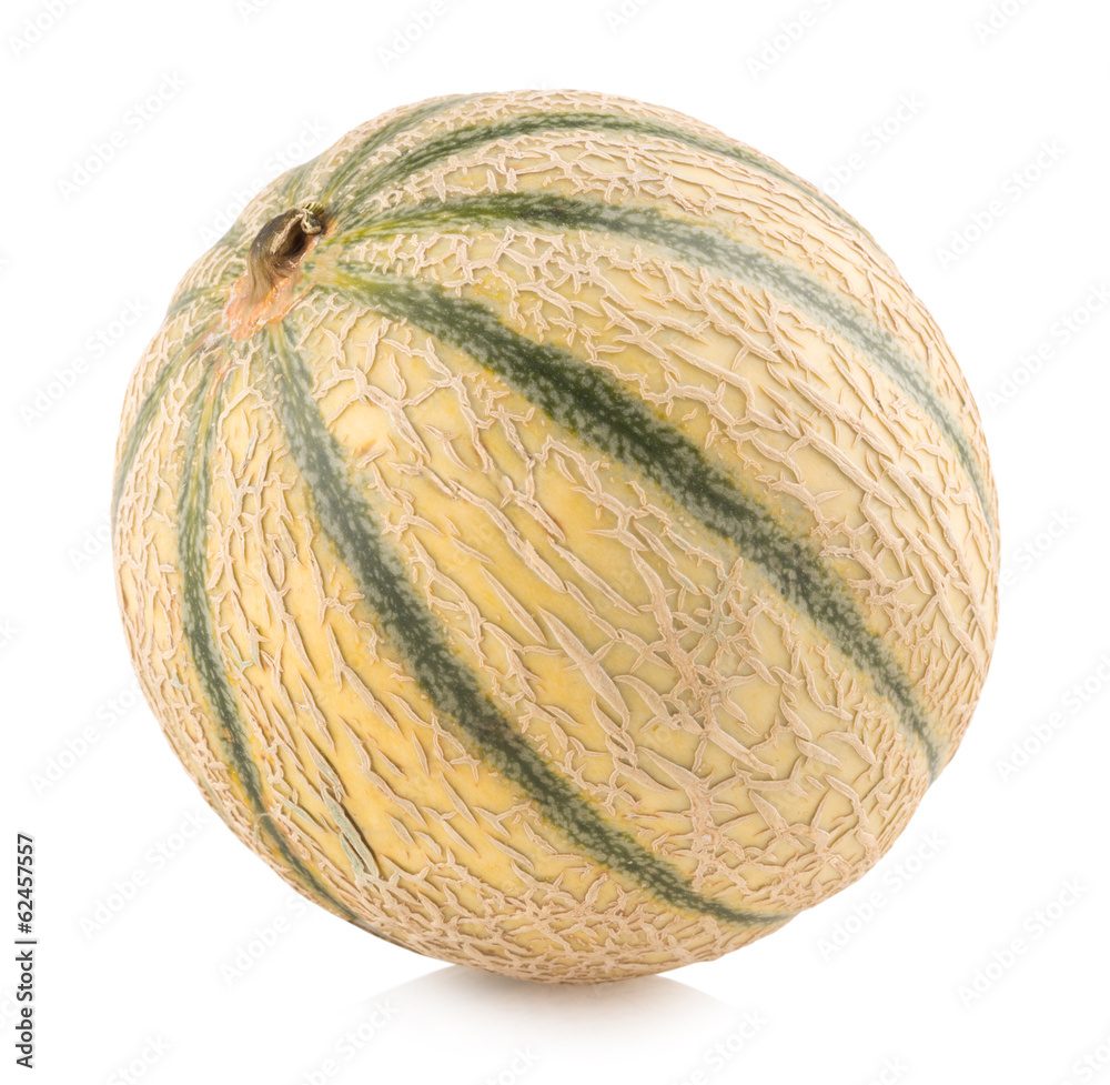 cantaloupe melon cantaloupe melon